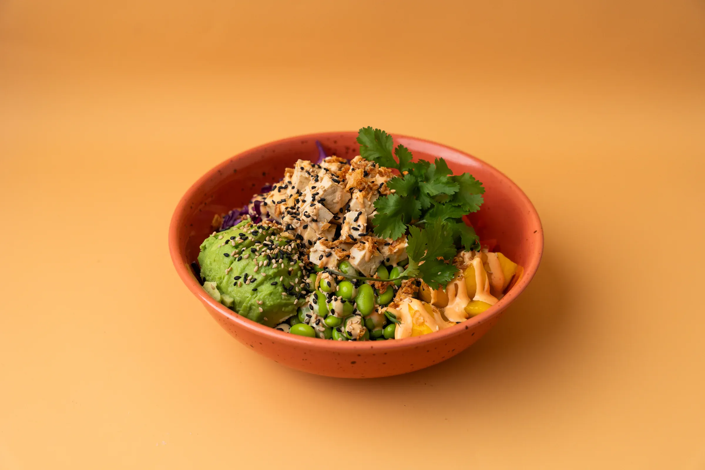 Poke Bowl Tofu (v)